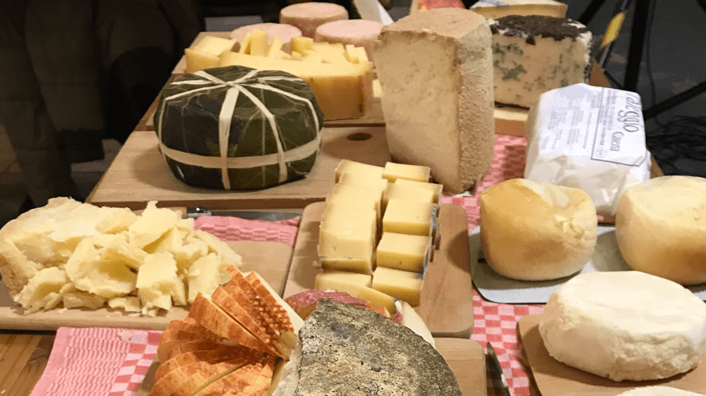 Heinzelcheese Käseschule: die Basics
