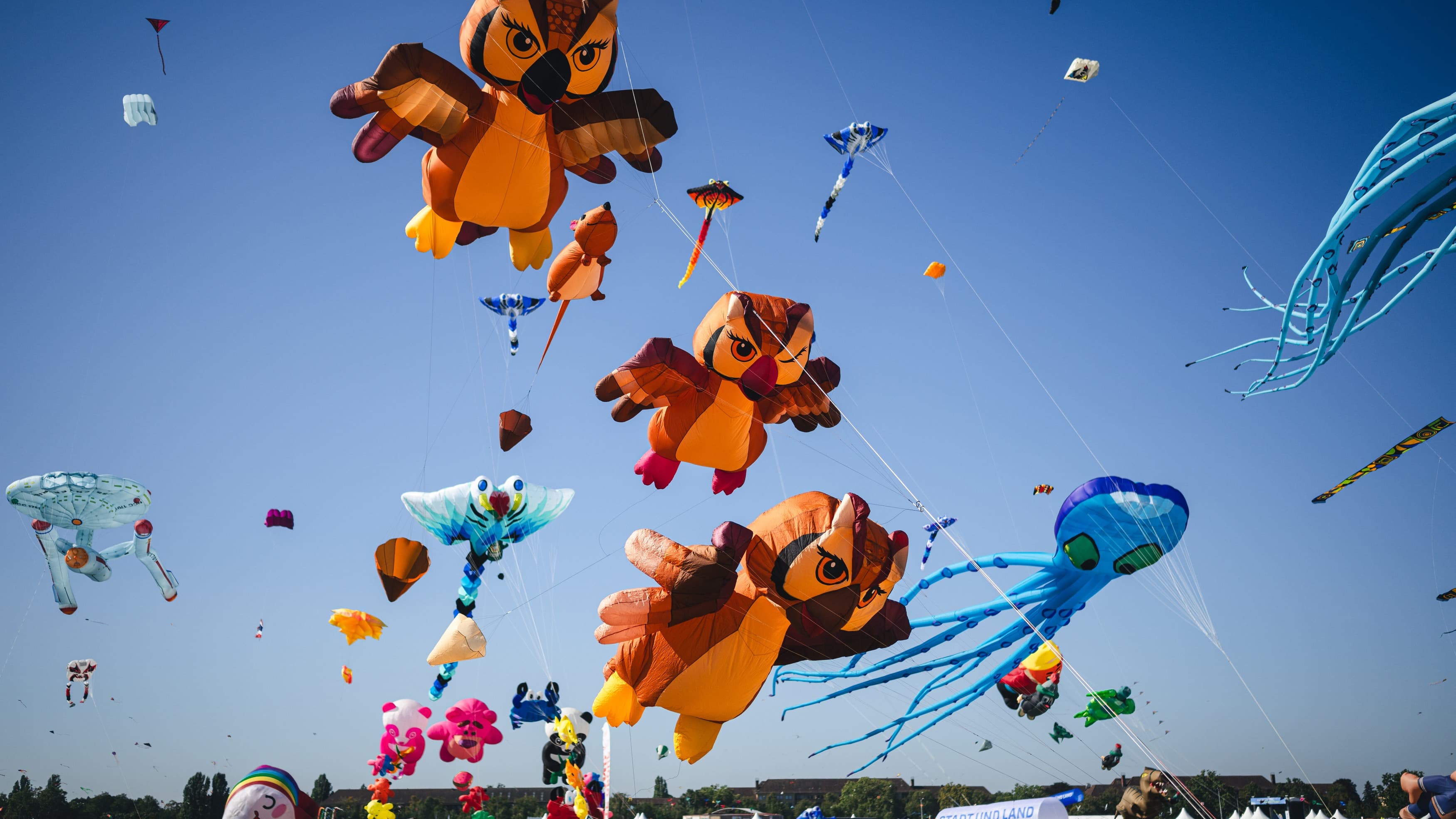 STADT UND LAND Festival der RIESENDRACHEN 2026