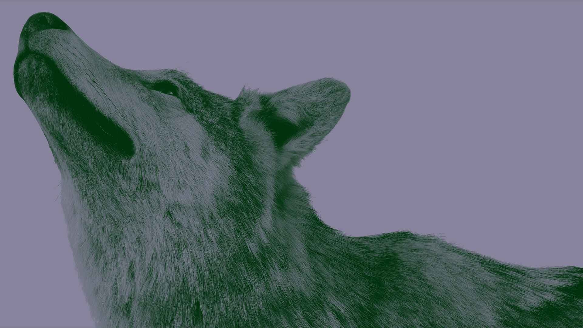 Natur und deutsche Geschichte. Glaube – Biologie – Macht